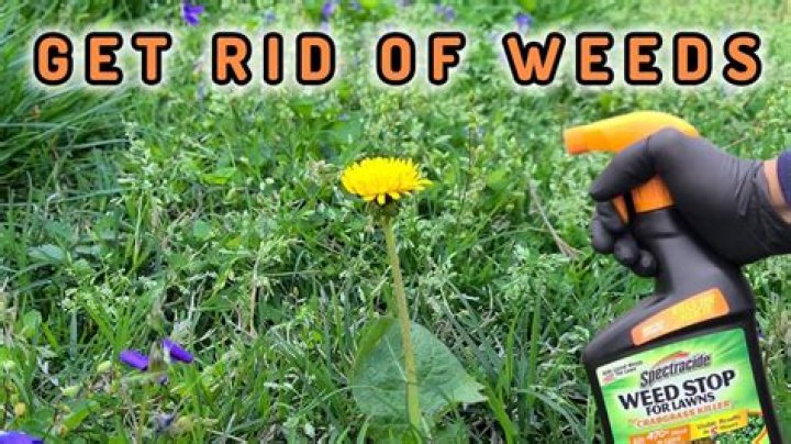 Is March too early to spray weeds?