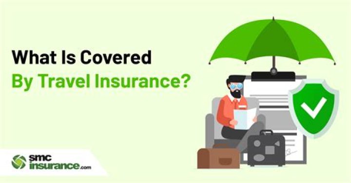 Is Owlet covered by insurance?