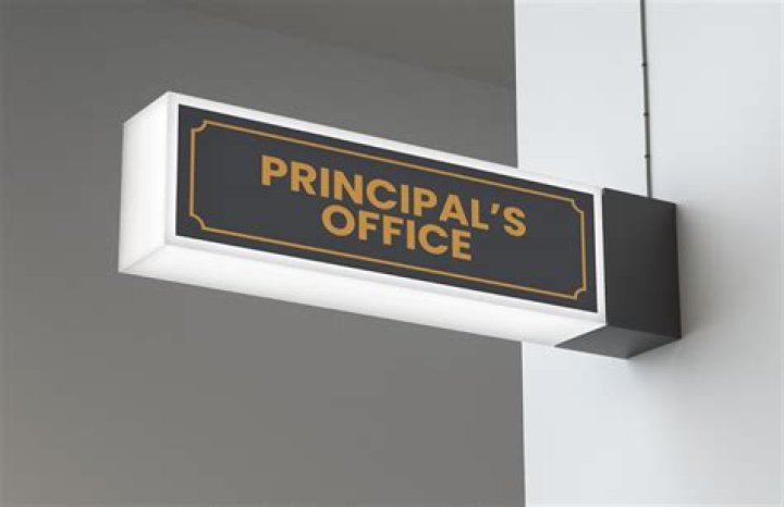 Is principal a good title in business?