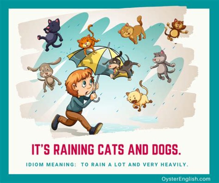 Is raining cats and dogs an idiom?