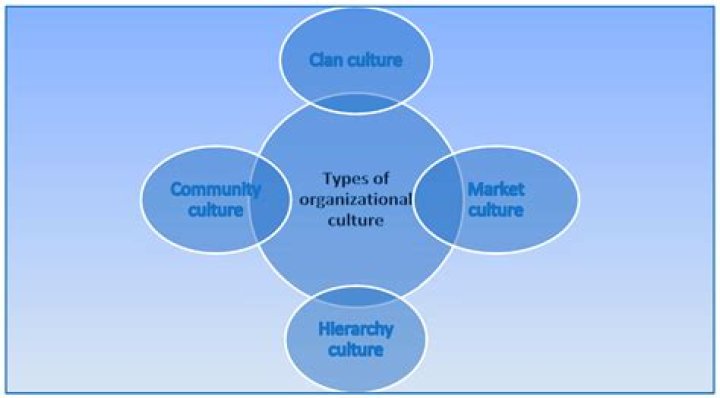 Is social organization an element of culture?