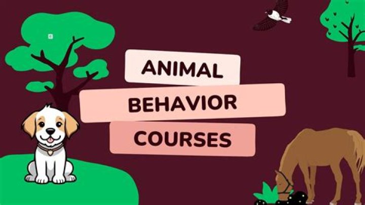 Is the Animal Behavior Institute legit?
