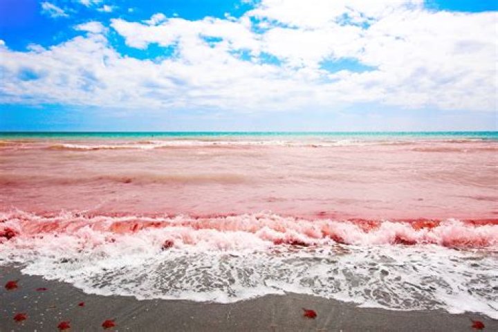 Is the ocean red?