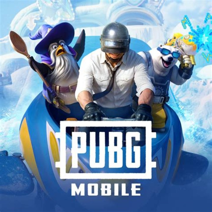 Is the PP Bizon good PUBG?