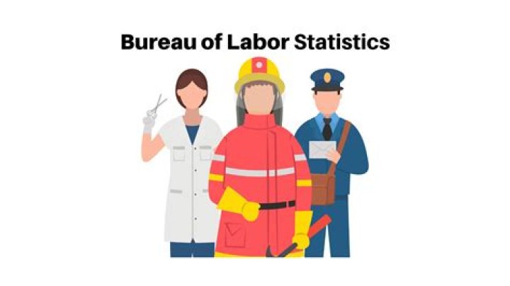 Is the US Bureau of Labor Statistics accurate?