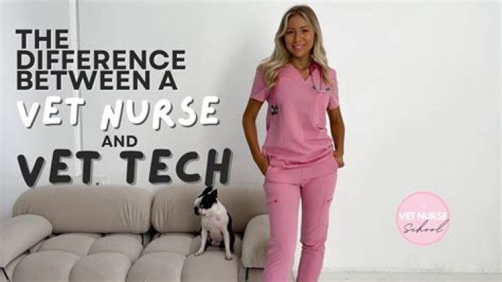 Is there a difference between vet tech and vet assistant?