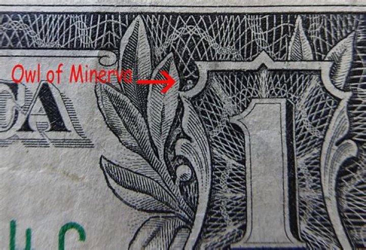 Is there a hidden owl on the dollar bill?