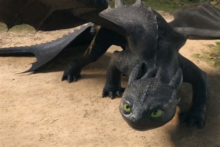 Is Toothless based on a cat?