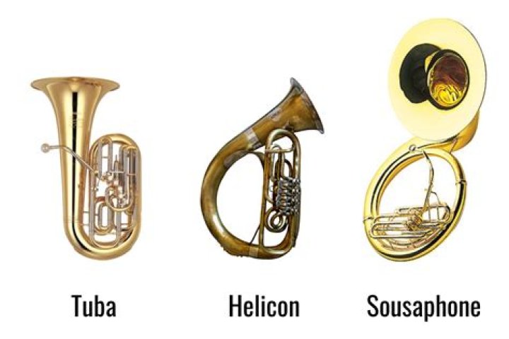 Is tuba an endangered instrument?