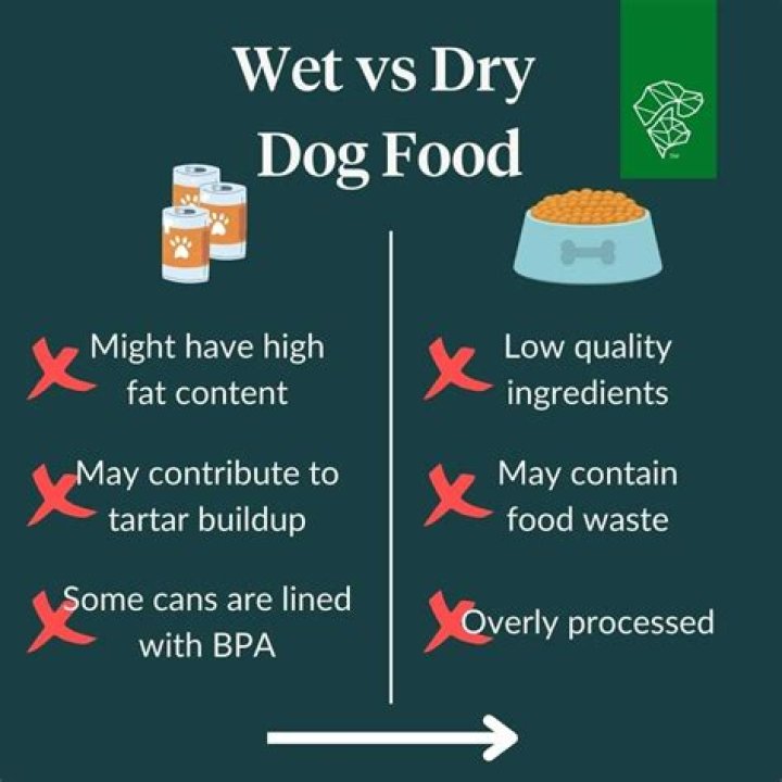 Is wet or dry food better for dogs?