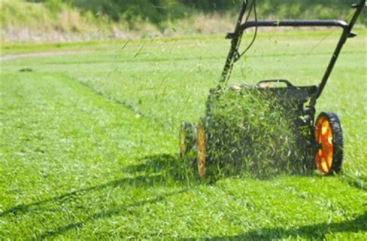 Should I mow before or after aeration?