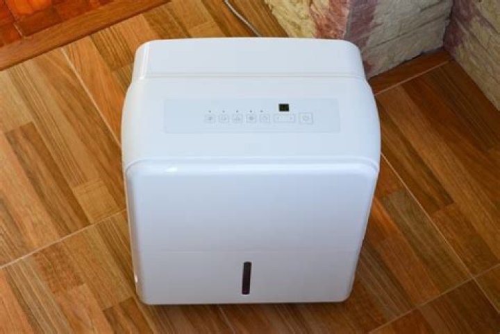 Should I use A dehumidifier in the winter?