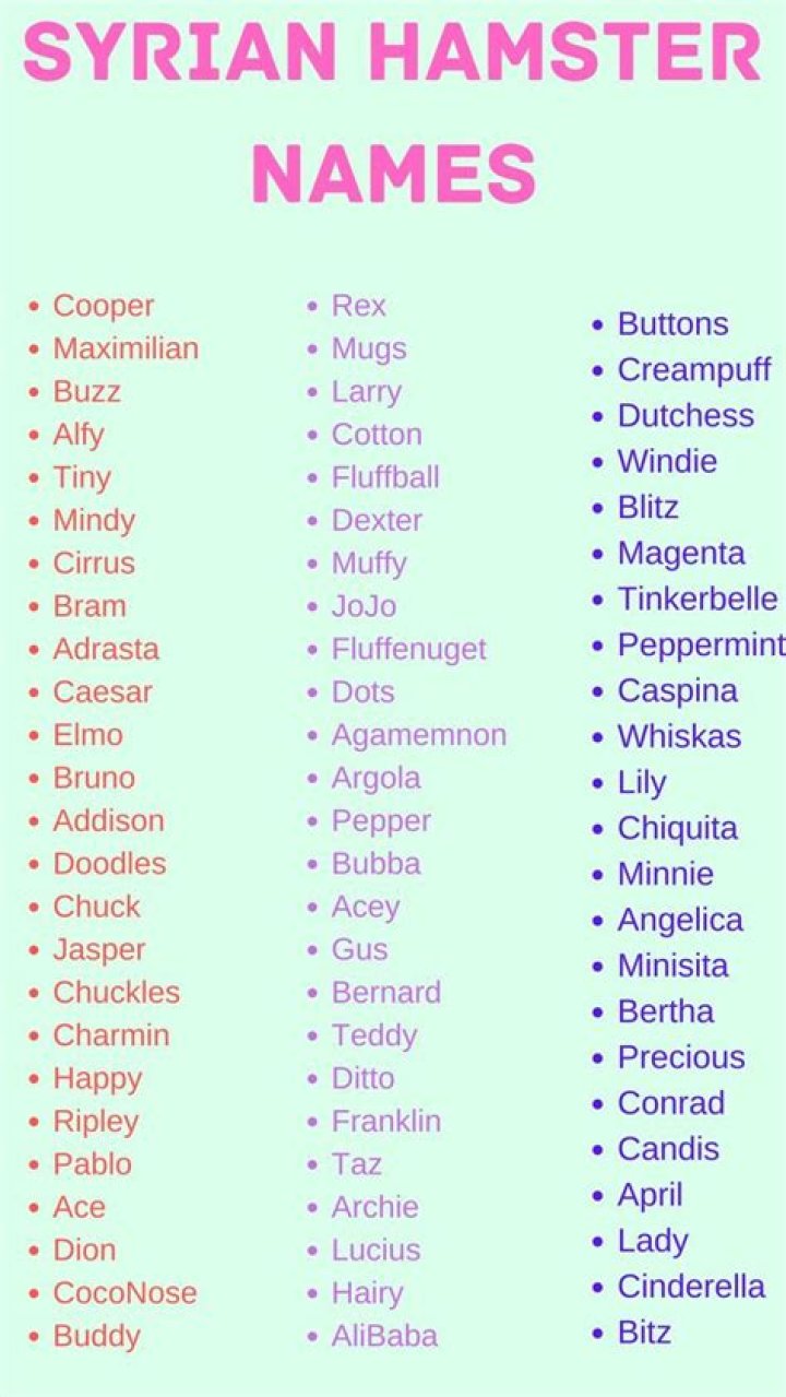 What's the cutest name for a hamster?