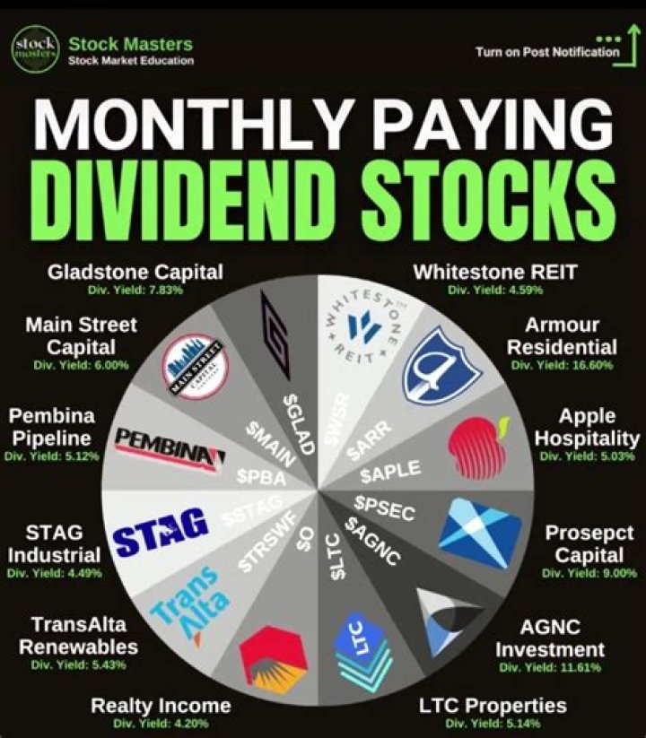 What are 3 essential dividends in a stock?
