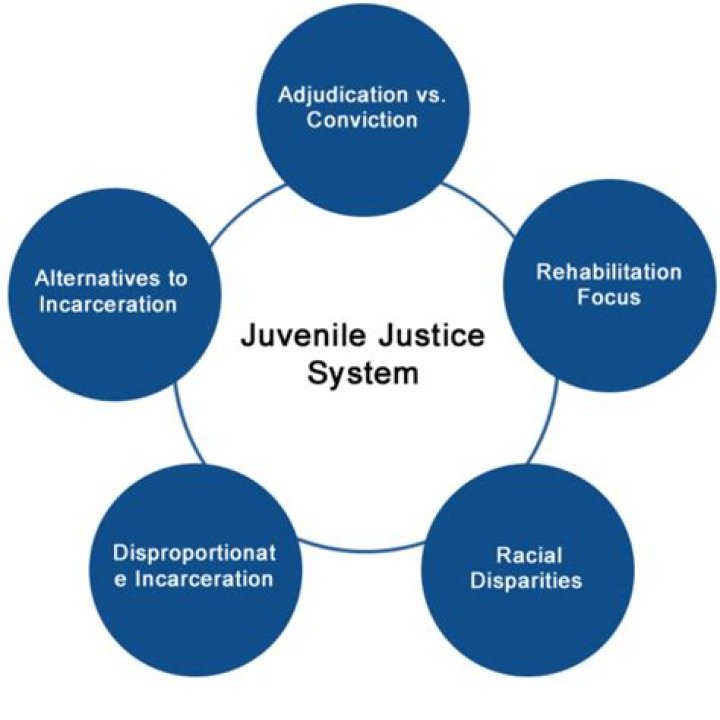 What are 3 problems in the juvenile justice system?
