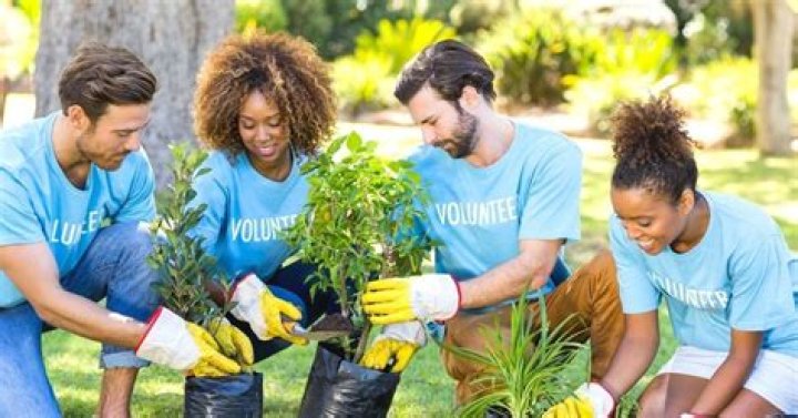 What are 4 ways to volunteer in a community?