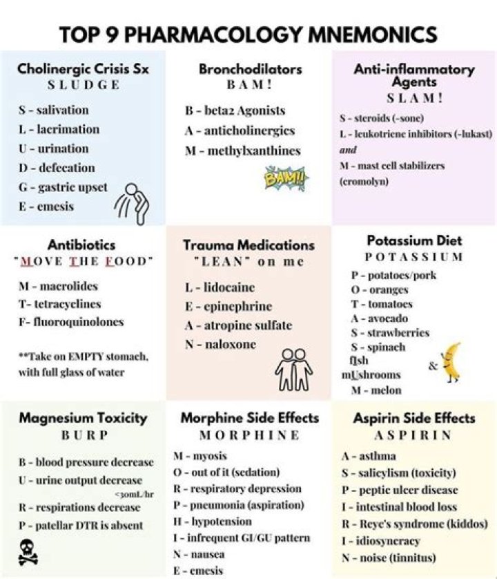 What are 9 types of mnemonics?