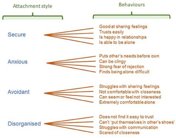 What are attachment seeking behaviors?