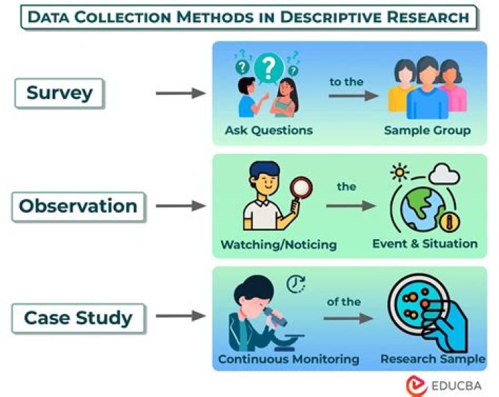 What are basic research methods?