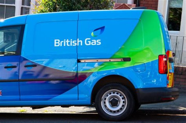 What are British Gas Values?