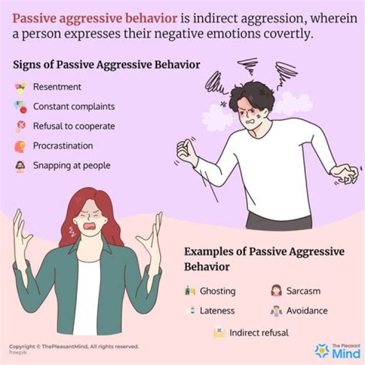 What are examples of aggressive behavior?
