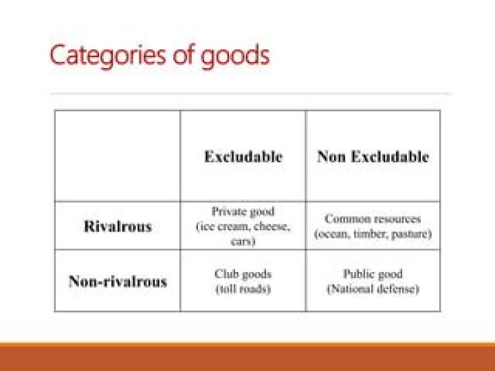What are examples of non-excludable goods?