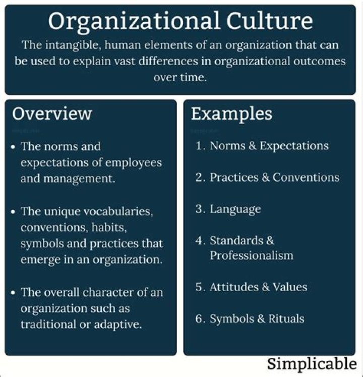 What are examples of organizational culture?