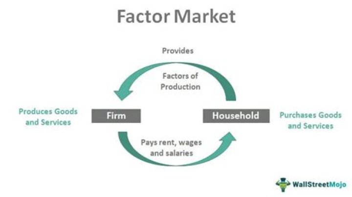 What are factor markets?