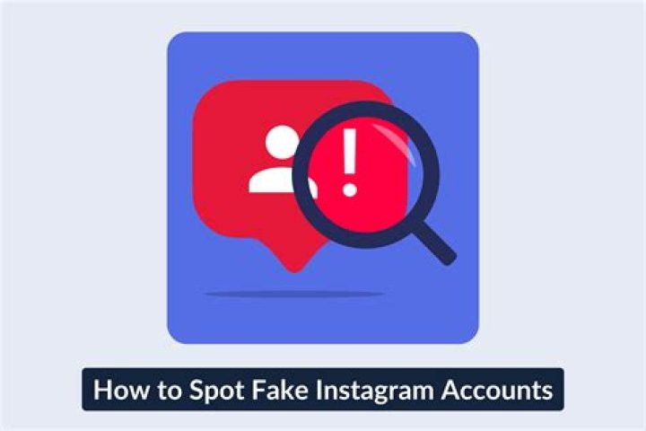 What are fake Instagram accounts called?
