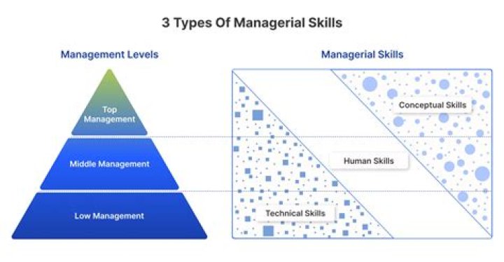 What are five managerial roles?