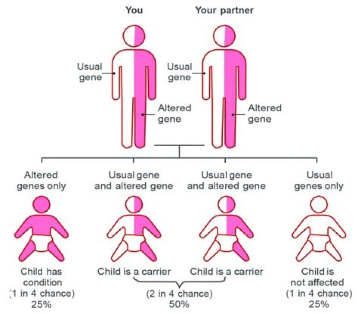 What are genetic characteristics of an individual?