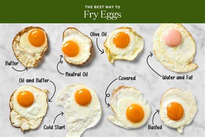 What are hospital eggs made of?