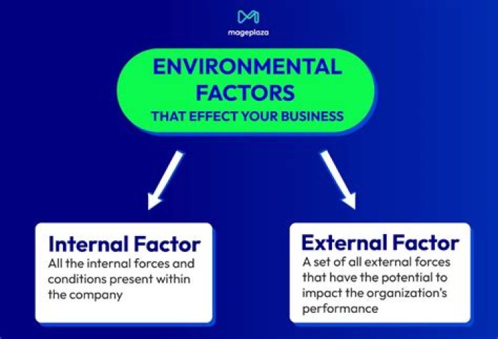 What are internal environmental factors in management?