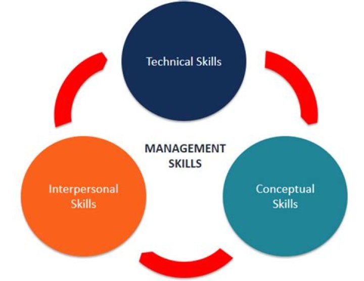 What are management functions and skills?