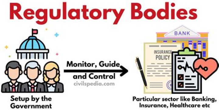 What are regulatory bodies examples?