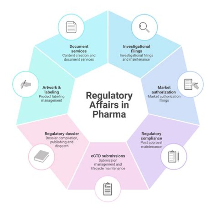What are regulatory documents?
