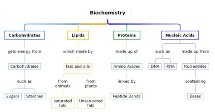 What are some examples of biochemistry?
