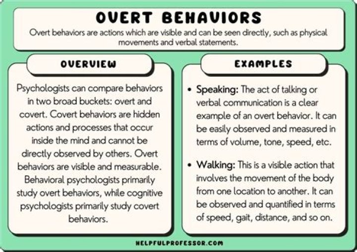 What are some examples of dysfunctional behavior?