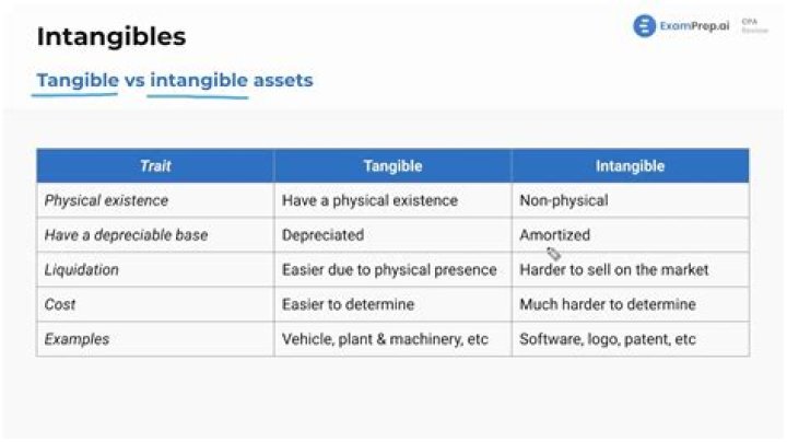 What are some examples of intangible and tangible assets?