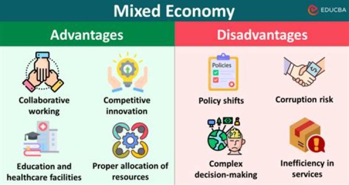 What are some potential disadvantages of a mixed economy?