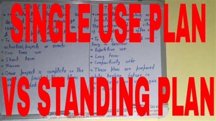 What are standing plans and single use plans?