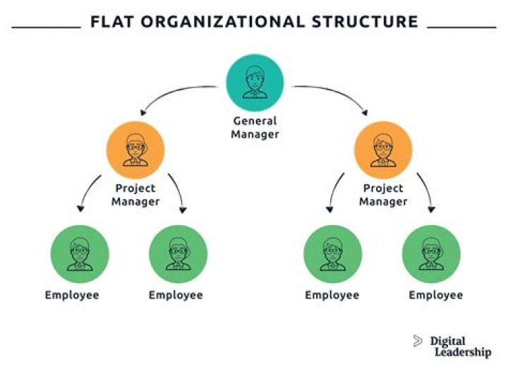 What are tall and flat organizational structures?