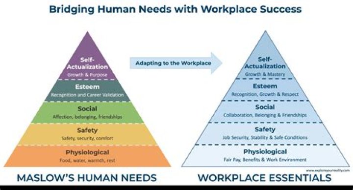 What are the 2 most important skills people need in the workplace?