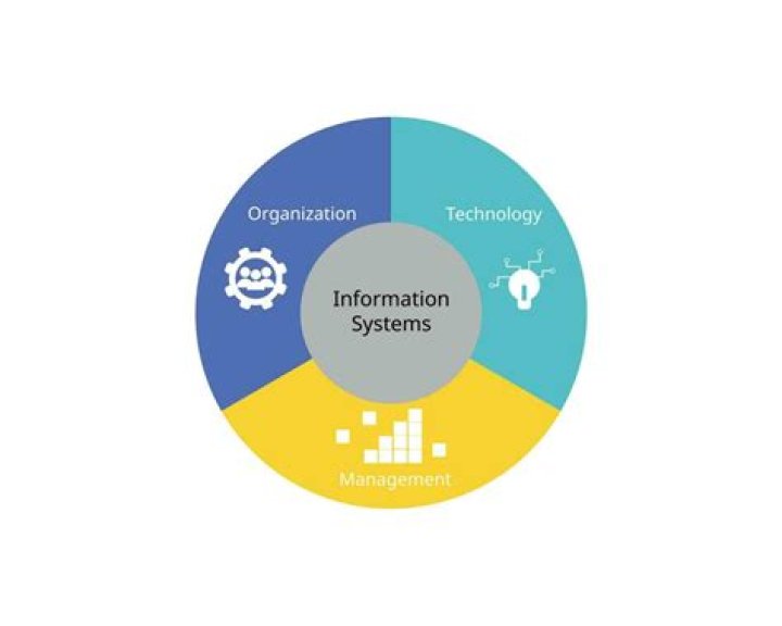 What are the 3 dimensions of information system?