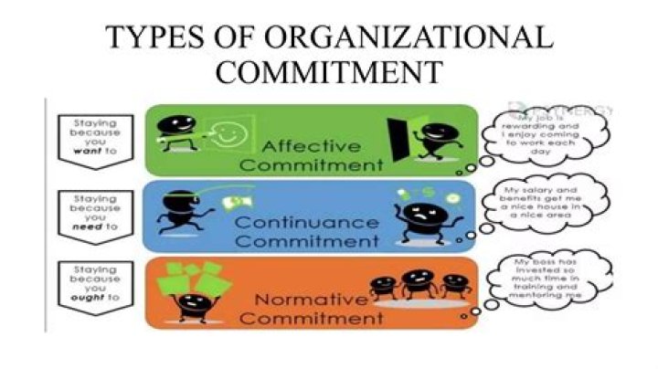 What are the 3 types of organizational commitment?