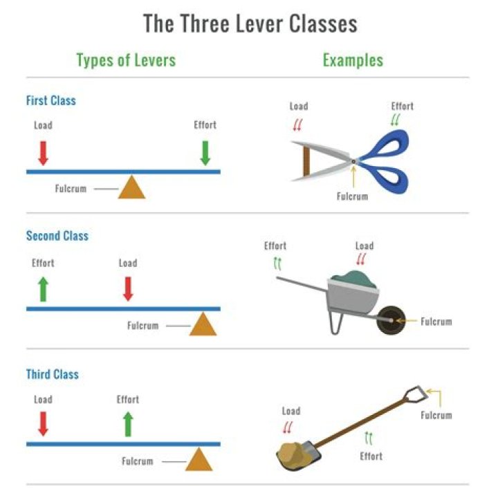 What are the 3 types of ORS?