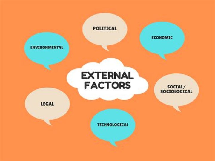 What are the 4 external factors?