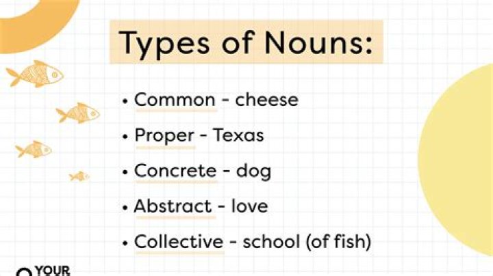 What are the 4 types of books?