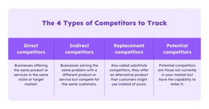 What are the 4 types of competitors?