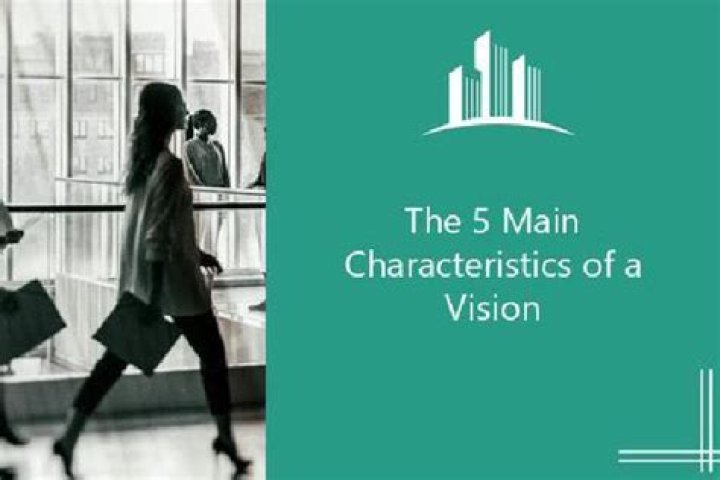What are the 5 main characteristics of a vision?